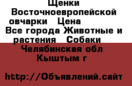 Щенки Восточноевропейской овчарки › Цена ­ 25 000 - Все города Животные и растения » Собаки   . Челябинская обл.,Кыштым г.